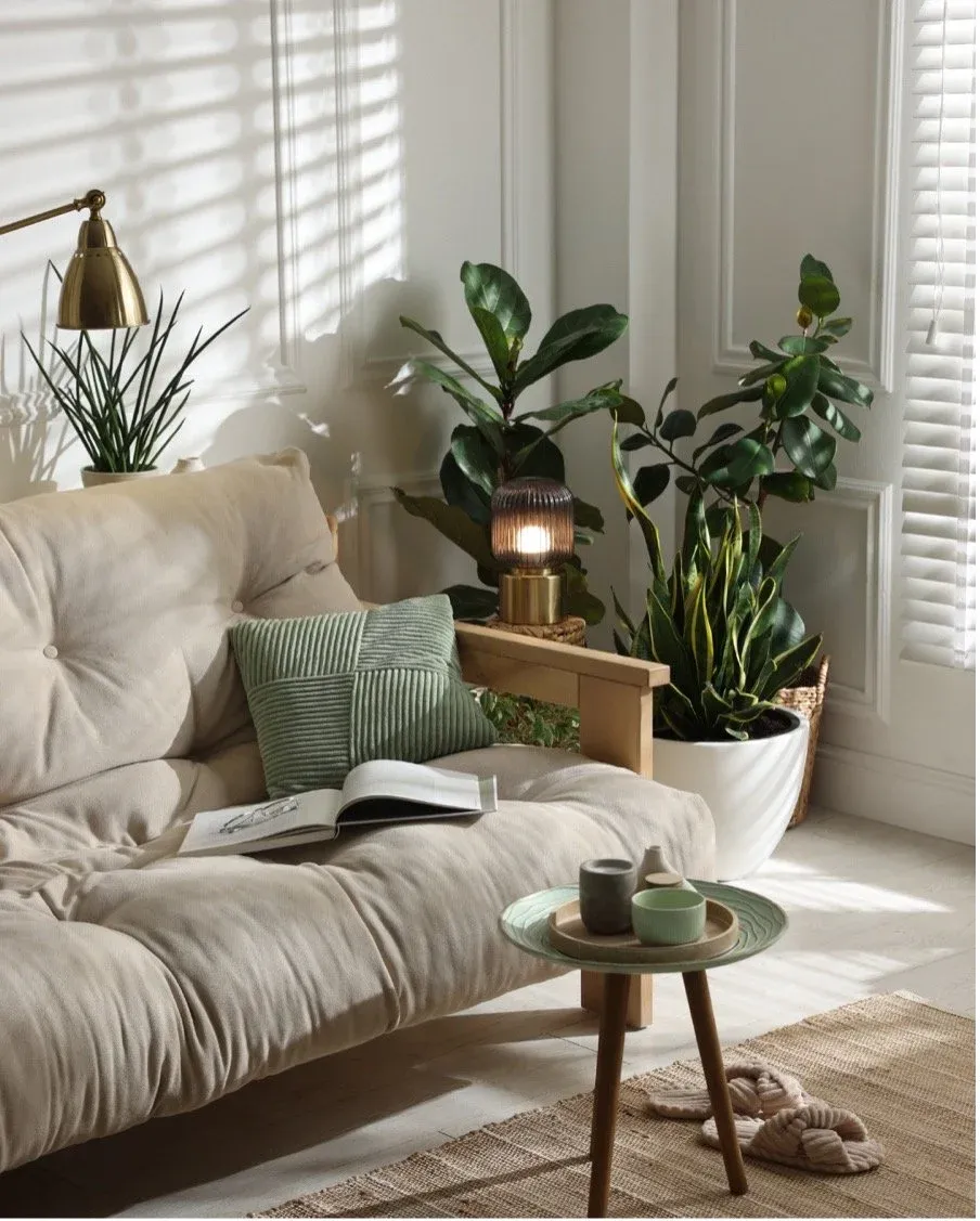 A lived-in, comfortable home